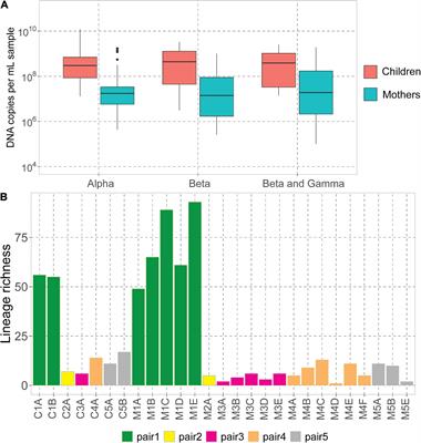 Transmission of anelloviruses to HIV-1 infected children